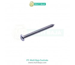 Stainless Steel : SUS 304 PH Tapping Screw DIN7981